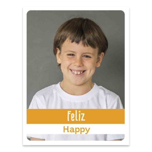 afiche de las emociones faces