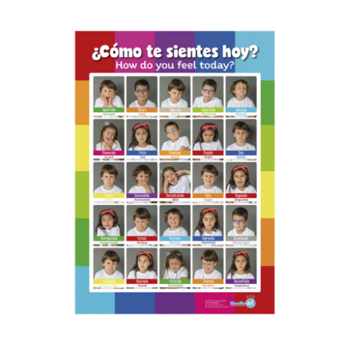 Afiche de las emociones faces