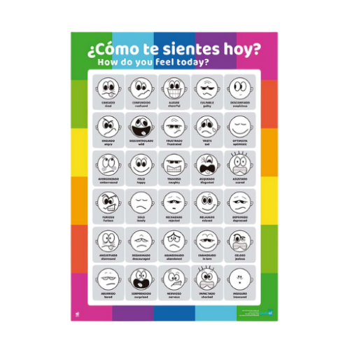 Afiche de las emociones